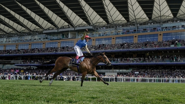 Frankie Dettori celebrates as he rides Courage Mon Ami to victory in the Gold Cup