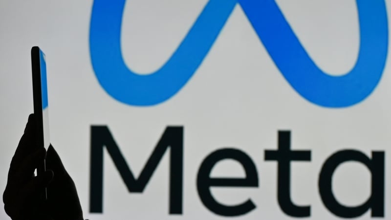 The applicant is a subsidiary of the US owner of Facebook, Instagram, and WhatsApp, and is the controller and service provider for Meta's platforms in the European region