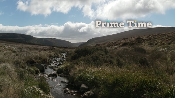 Why is the proposed Nature Restoration Law so controversial?
