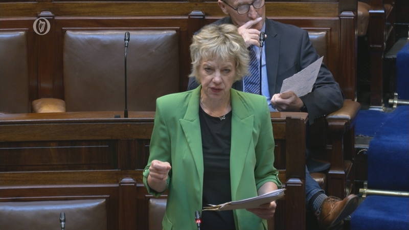 Ivana Bacik called for new measures to be introduced into the Planning and Development Bill (File pic)