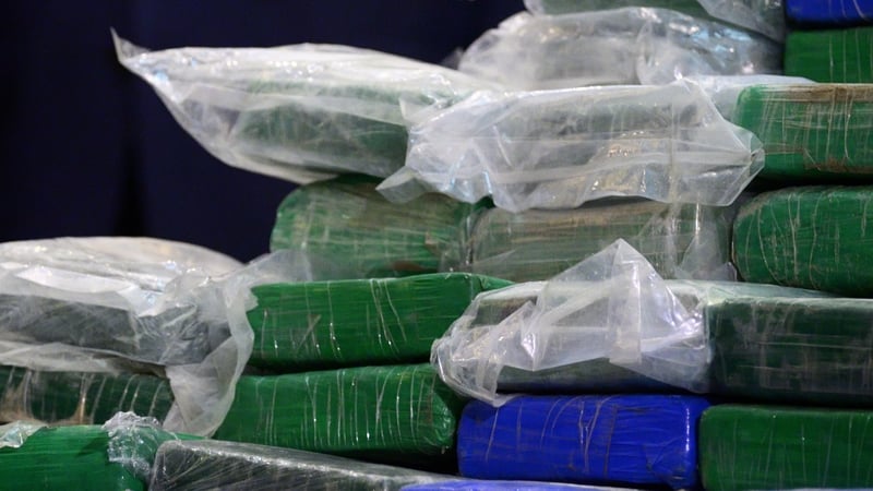 Packages were seen being thrown out of the single-seated tourist plane (file image)