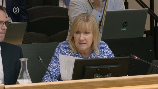 Imelda Munster was first elected to the Dáil in 2016