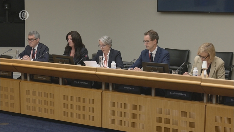 Senior RTÉ representative before the Oireachtas Media Committee