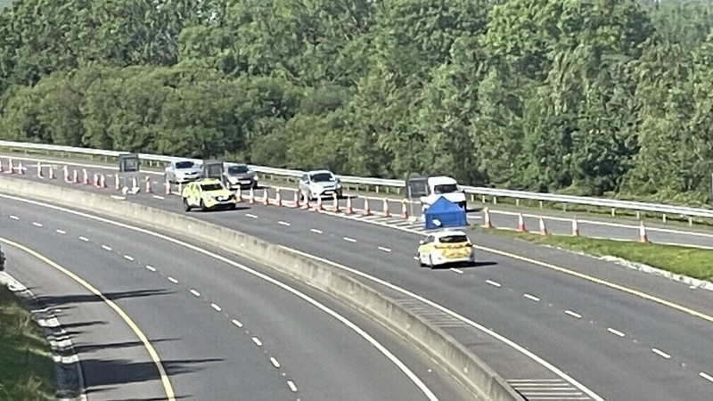 The stolen car was driven south on the northbound lane of the M8 motorway for over six kilometres