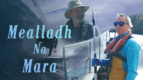 Féach siar: Mealladh na Mara