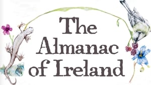Almanac of Ireland show image