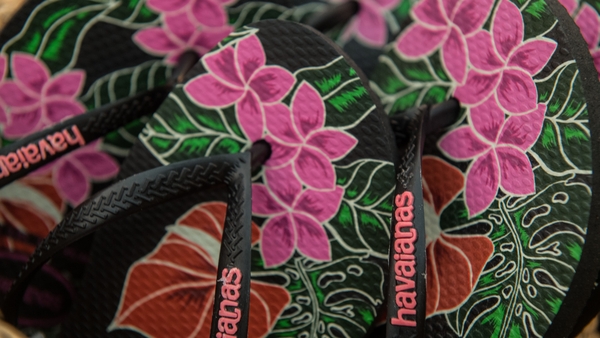 Today's revelations included details of a €4,956 spend on Havaiana flip flops.