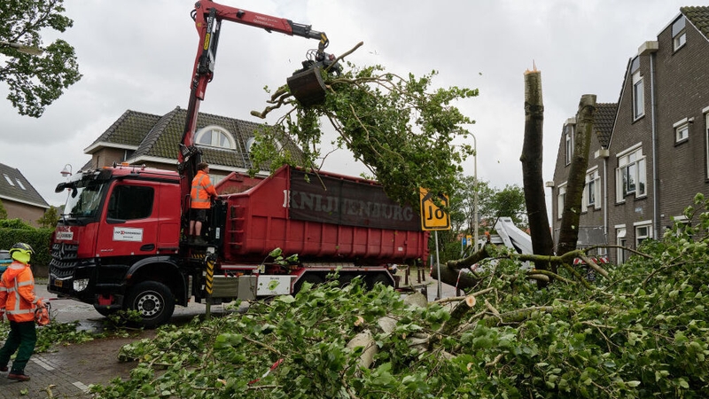 Workers clear a tree in a residential area of The Hague