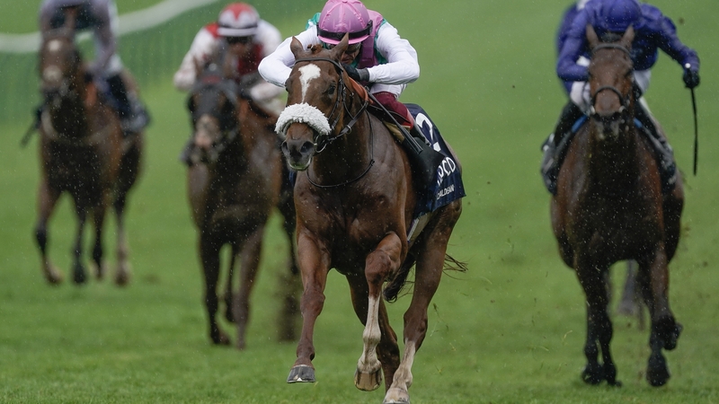 Chaldean looked like a horse who hadn't recovered from his Royal Ascot exertions