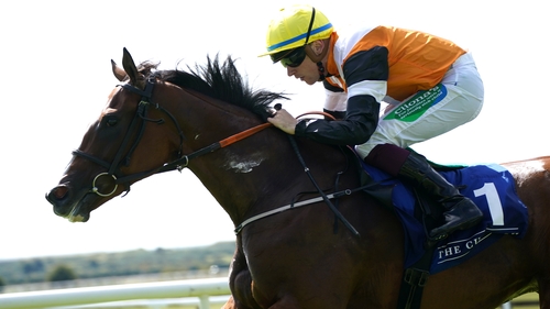 Aspen Grove finished with a flourish at Belmont Park