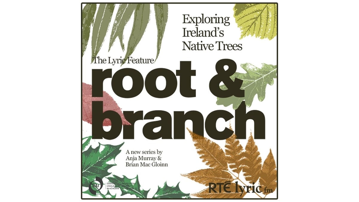 Root & Branch