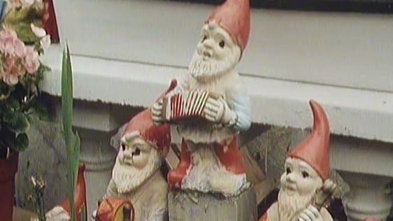 Garden Gnomes in Rathfarnham, 1988