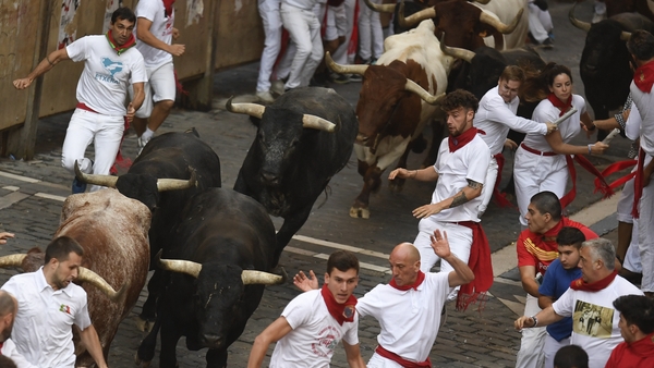 Participants run ahead of bulls during the 'encierro' (bull-run) of the San Fermin festival in Pamplona, northern Spain
