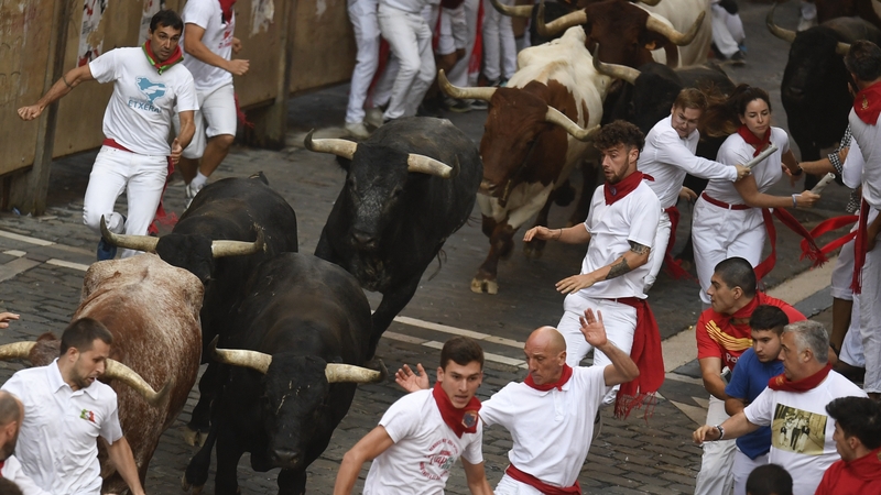 Participants run ahead of bulls during the 'encierro' (bull-run) of the San Fermin festival in Pamplona, northern Spain