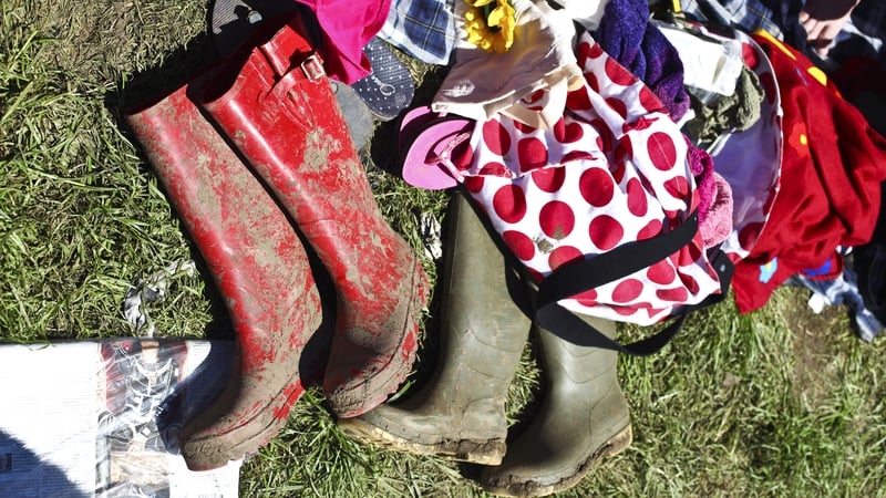 Organisers of the Co Kildare festival said anyone present on the site will be unaffected and they "intend to run the show to a reduced audience"