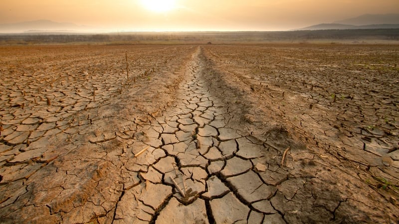 The EU move could help grease the wheels for other deals at COP28, where countries will consider whether to phase out fossil fuels