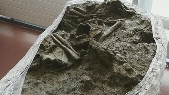 Viking remains found in Dublin, 2003.