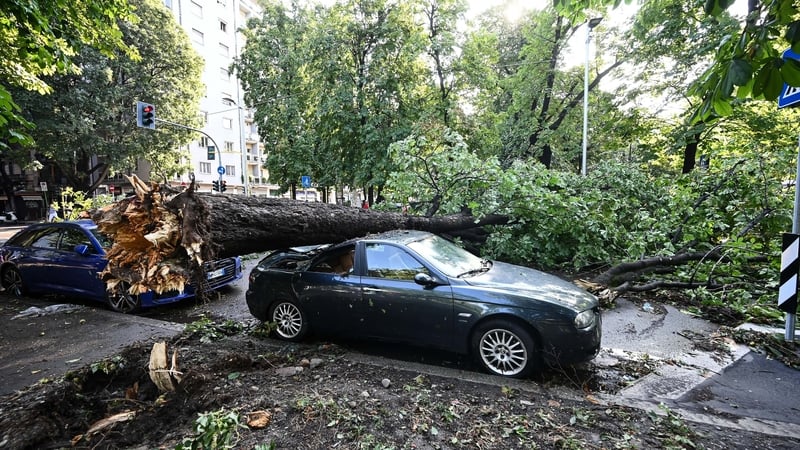Several cars were damaged by fallen trees in Milan