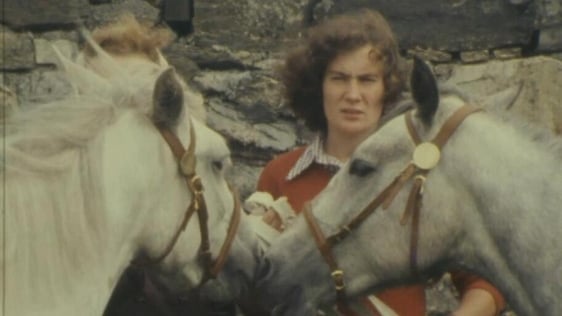 Connemara Pony Show, 1978