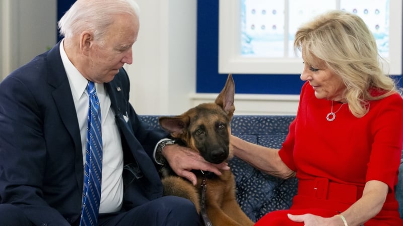 US President Joe Biden with Jill and Commander as a pup