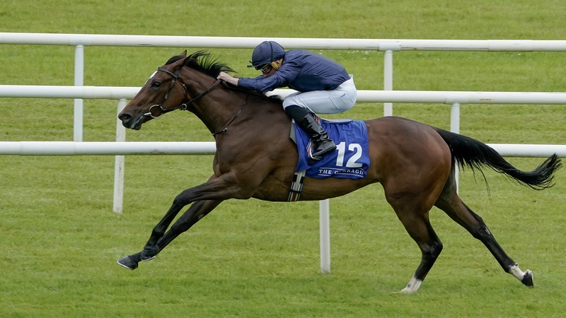 Ylang Ylang is the ante-post favourite for both the 1000 Guineas and the Oaks next season
