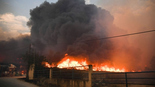 A fire destroyed a farm in Velestino, central Greece