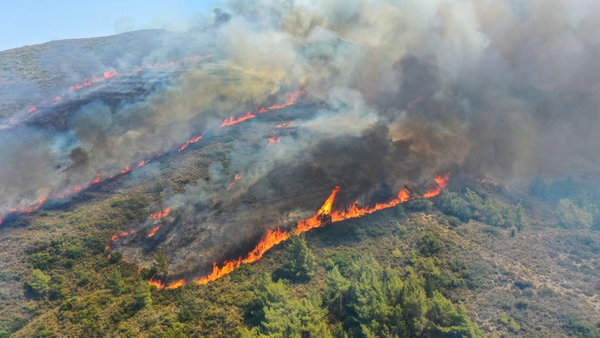 Thousands of people have fled the fires on the island of Rhodes