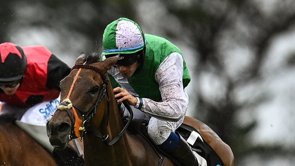 Teed Up dug deep to cling on to victory in the Connacht Hotel (QR) Handicap