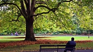 Park Bench show image