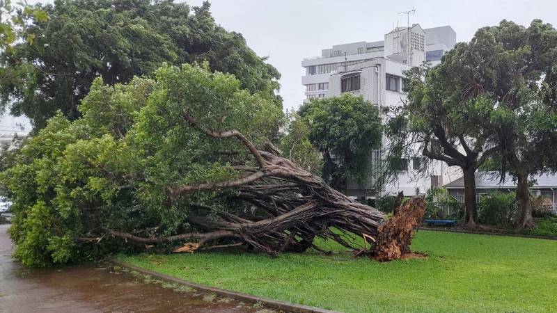 Typhoon Khanun cut off power for several hundred thousand people in the southern Okinawa region last week