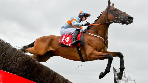 Ash Tree Meadow, with Danny Gilligan up, jumps the eighth on their way to winning the Tote Galway Plate