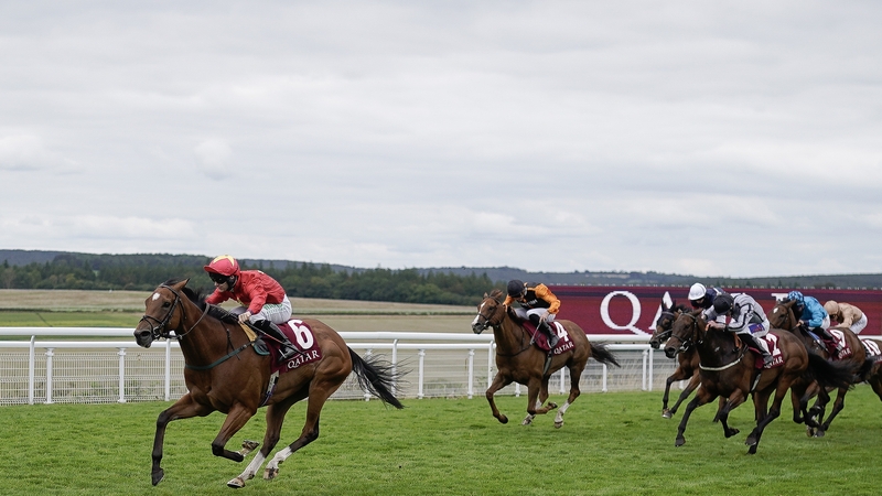 Highfield Princess now heads for the Nunthorpe