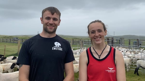 The brother and sister from Drumcliff in Co Sligo were pitted against each other in a heat of the prestigious All Ireland and All Nations Shearing and Wool Handling Championships