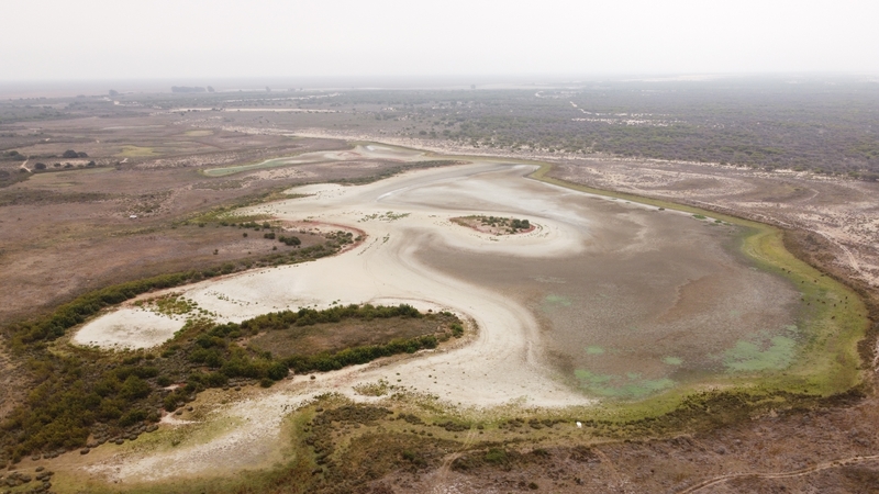 The Santa Olalla lagoon in Spain's Donana natural park has dried up for the second summer in a row