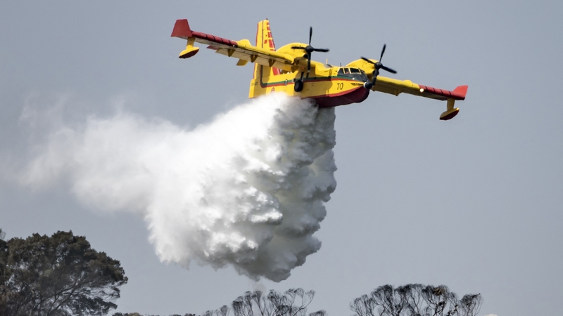 The heatwave has caused wildfires in northern Morocco near Tangier and further east in Taza province