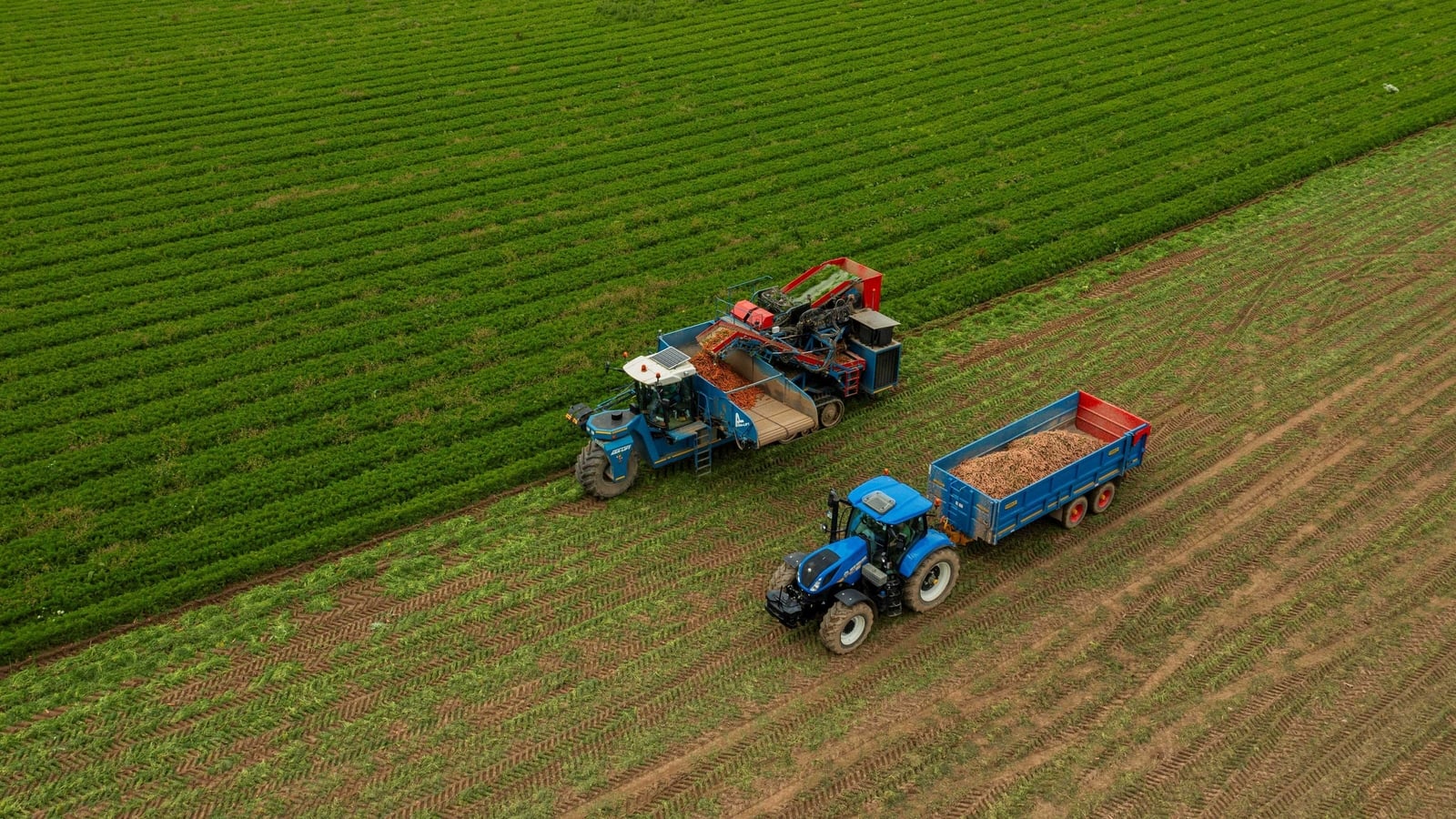 Average farmland sales prices set to rise by 4% in 2026