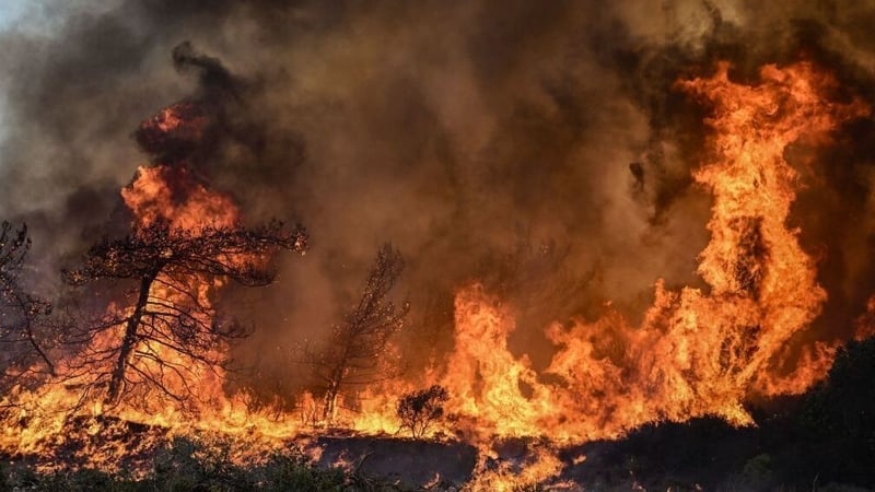 Greece is among the European countries to grapple with wildfires this summer
