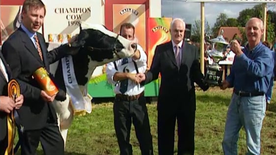 Winner of the Bailey's Champion Cow Competition at the Virginia Agricultural Show in County Cavan, …