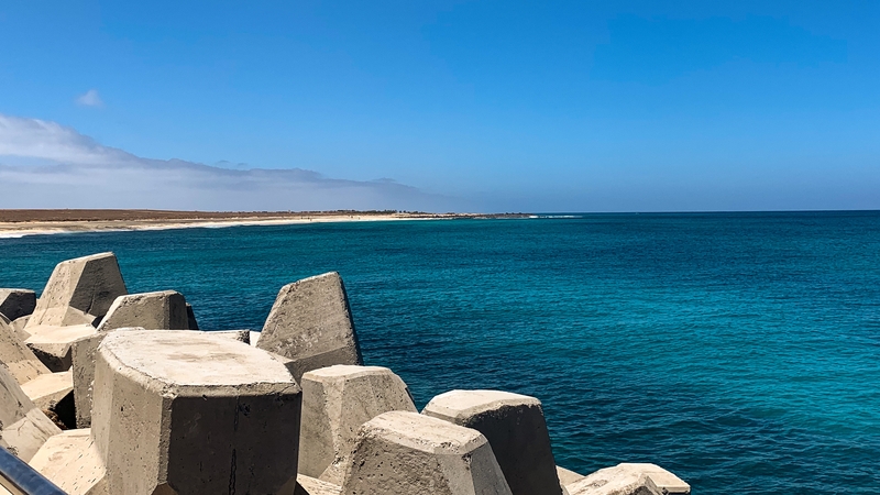 Seven survivors were hospitalised after reaching Cape Verde's Sal Island yesterday