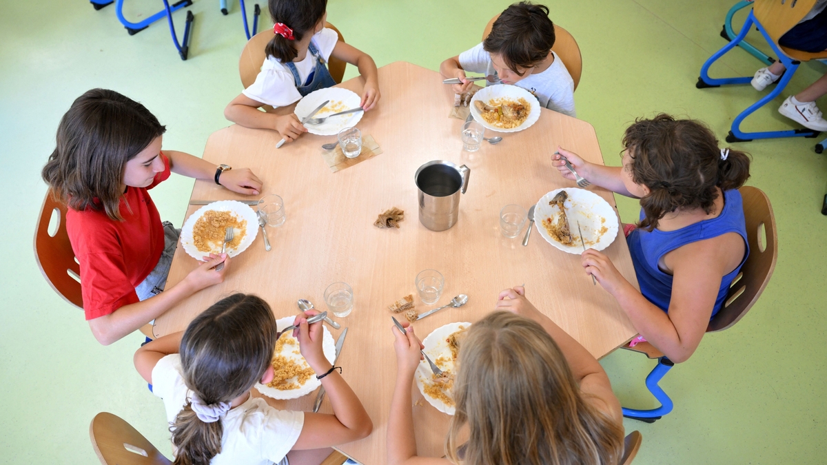 Hot school meals: what can we learn from our European neighbours?