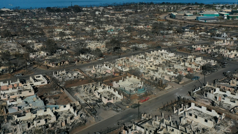 The death toll from the Maui wildfires stands at 111