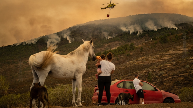 A family watches the fire with their horse as efforts to extinguish the fires continue with firefighter helicopters in the municipality of El Rosario at the island of Tenerife, Canary Islands, Spain
