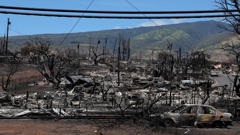 The Hawaiian island of Maui was severely damaged in wildfires last week