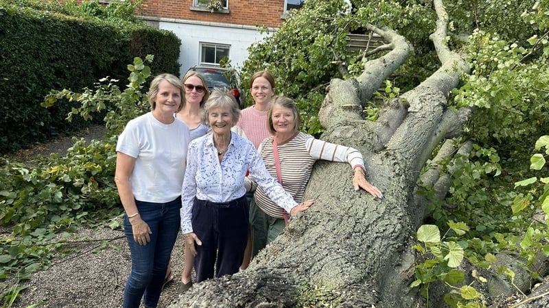 June Judd said she was woken up around midnight by the storm and saw then that the tree was still standing