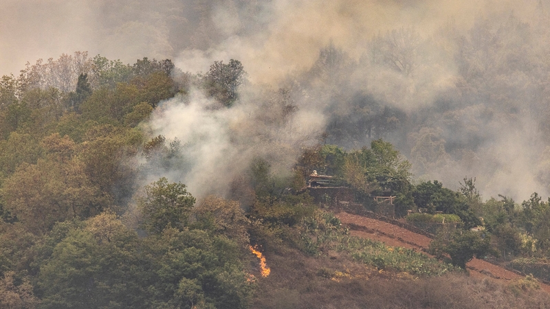 The fire has raged across more than one twentieth of the island's surface, forcing 12,000 people to flee