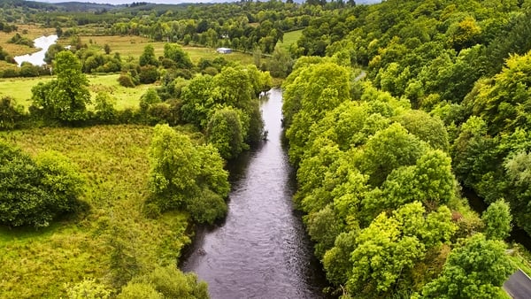 Leitrim has a total of 20.1% or 32,000 hectares of its land under forestry (Stock image)