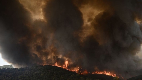 A wildfire raging in a forest in Sikorahi, near Alexandroupoli, northern Greece