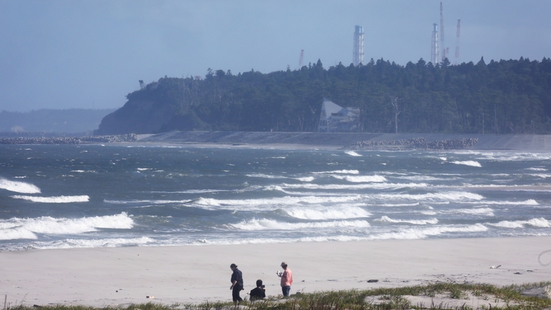 Japan released treated wastewater from the Fukushima plant into the sea last week (File pic)