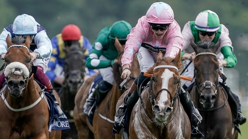 Live In The Dream has won three of his six starts this season