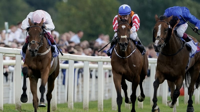 Frankie Dettori and Absurde (L, pink) winning the presigious handicap